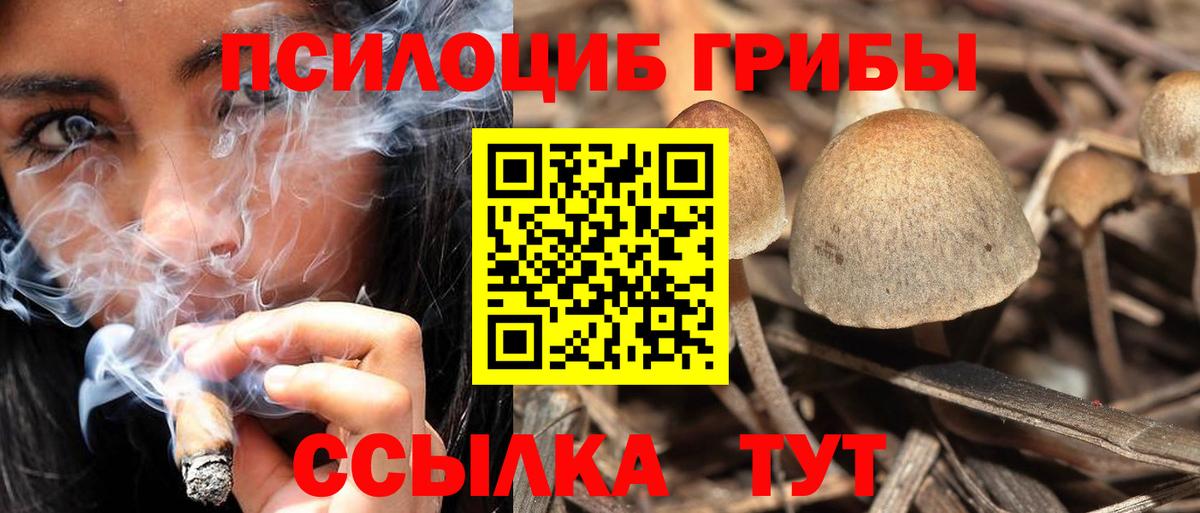 Псилоцибиновые грибы мухоморы  Вход с VPN  Югорск 