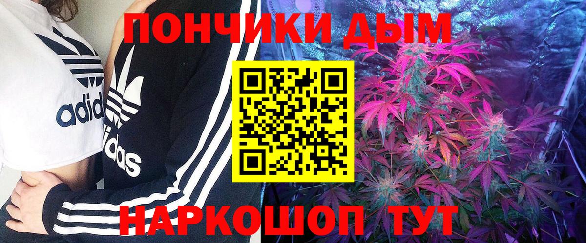 Бошки марихуана планчик  Вход с VPN  Югорск  Конопля планчик 